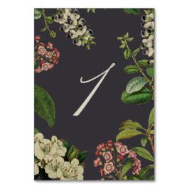 BOTANISKA BORDSNUMMER- GRÅTT BORDSNUMMER