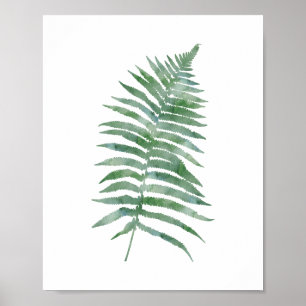 Botaniska Fern Löv Grönt Watercolor Nature Plant Poster
