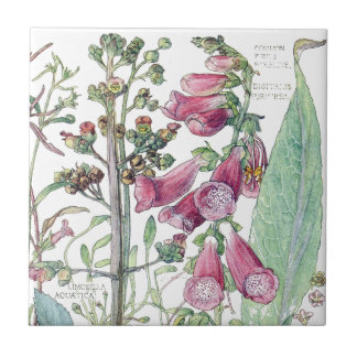 Botaniska Foxglovevildblommablommor belägger med Kakelplatta