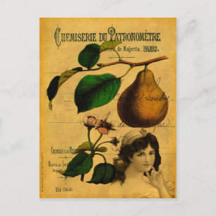 Botaniska frukter vykort