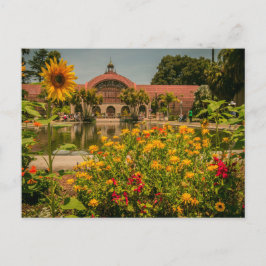 Botaniska Garden Balboa Park Vykort