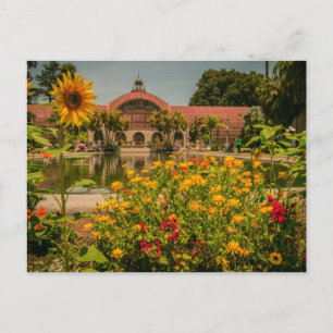 Botaniska Garden Balboa Park Vykort