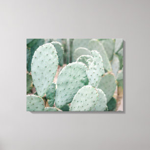 Botaniska Garden Cactus Canvastryck