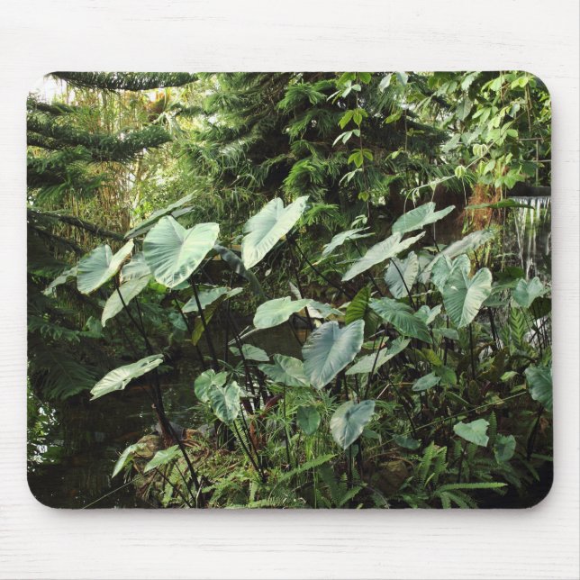 Botaniska Garden Musmatta (Framsidan)