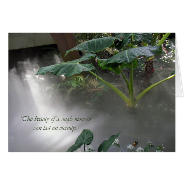 Botaniska Garden OBS Kort (Framsidan Horizontal)