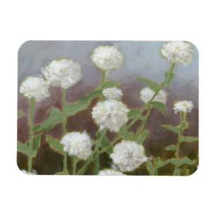 Botaniska Garden-studien I Magnet