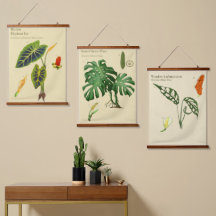 Botaniska gobelänger - Monstera Set