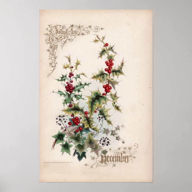 Botaniska gravar, december poster (Framsidan)