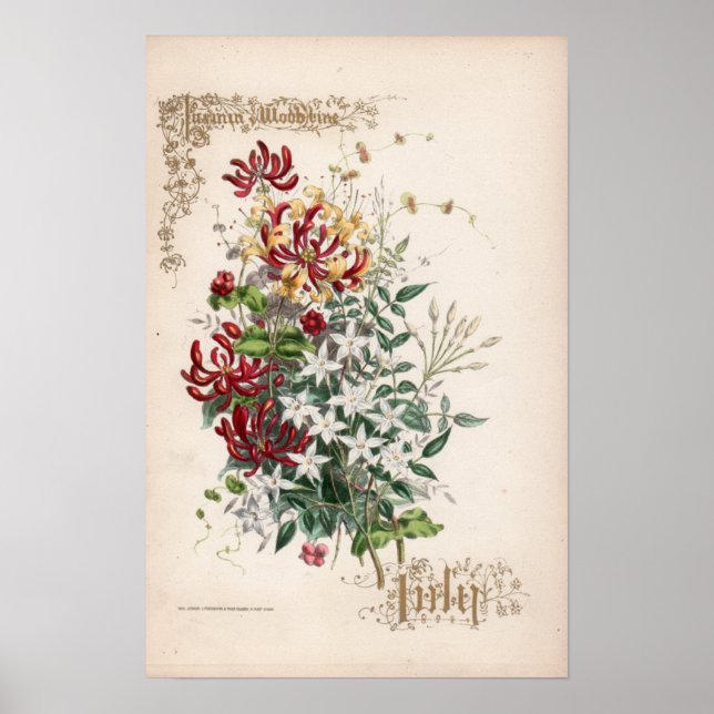 Botaniska gravar, juli poster (Framsidan)