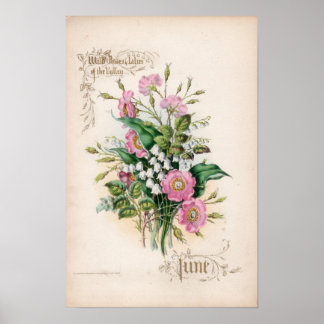 Botaniska gravar, juni poster