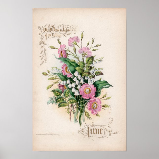 Botaniska gravar, juni poster (Framsidan)