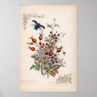 Botaniska gravar, november poster