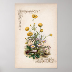 Botaniska gravyrer, April Poster