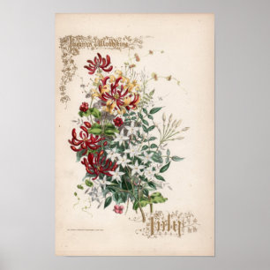 Botaniska gravyrer, Juli Poster