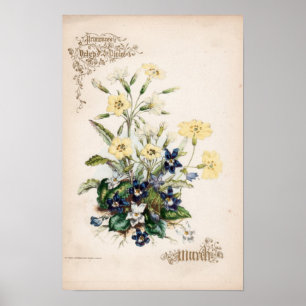Botaniska gravyrer, mars poster