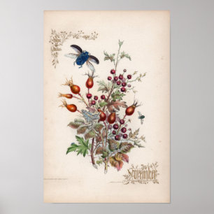 Botaniska gravyrer, November Poster