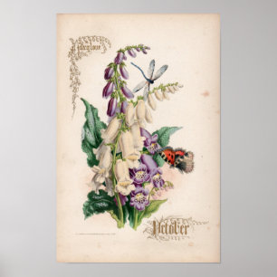 Botaniska gravyrer, Oktober Poster