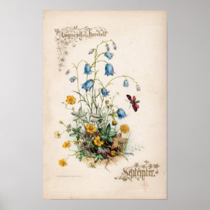 Botaniska gravyrer, September Poster