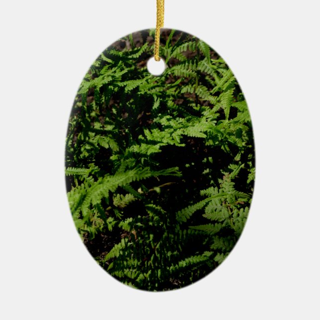 Botaniska grönten Forest Golv Ferns Julgransprydnad Keramik (Framsidan)