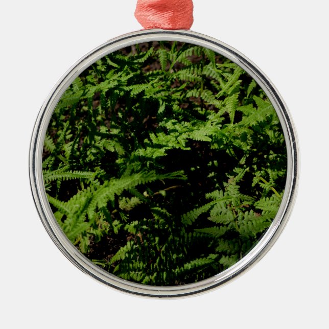Botaniska grönten Forest Golv Ferns Julgransprydnad Metall (Framsidan)