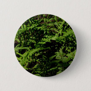 Botaniska grönten Forest Golv Ferns Knapp