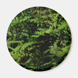 Botaniska grönten Forest Golv Ferns Magnet