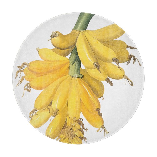 Botaniska Gulten Bananas (Framsidan)