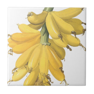 Botaniska Gulten Bananas Kakelplatta