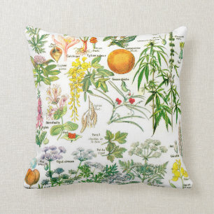 Botaniska Illustration-Larousseväxter Kudde