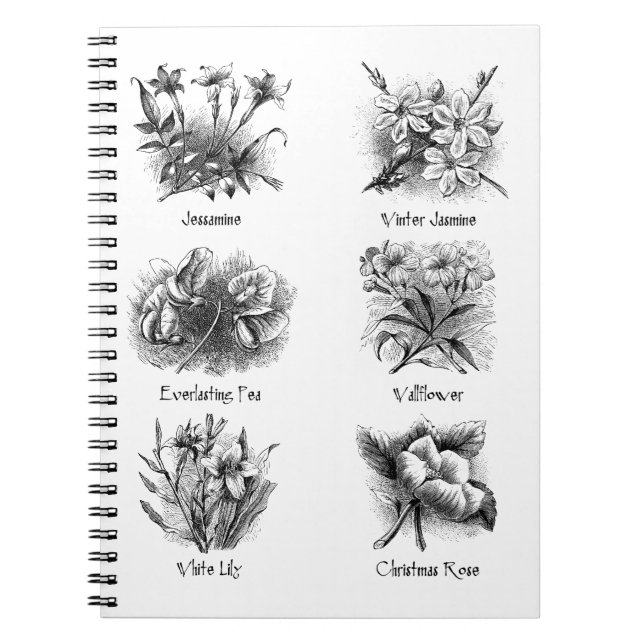 Botaniska illustrationer anteckningsbok (Framsidan)