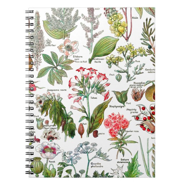 Botaniska illustrationer anteckningsbok med spiral (Framsidan)