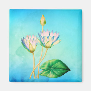 Botaniska illustrationer av den egyptiska Lotus Vi Magnet
