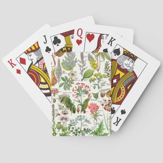 Botaniska illustrationer casinokort (Baksidan)