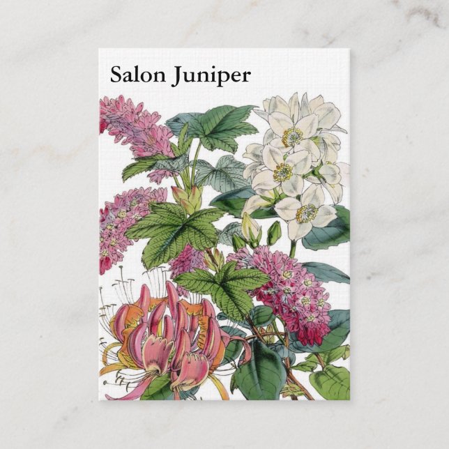 Botaniska illustrationer för vintage rabattkort (Framsida)