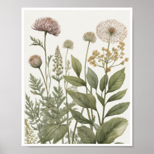 botaniska illustrationer invecklade mönster strukt poster