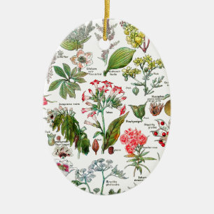 Botaniska illustrationer julgransprydnad keramik