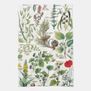Botaniska illustrationer kökshandduk
