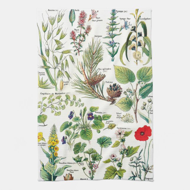 Botaniska illustrationer kökshandduk (Vertikal)