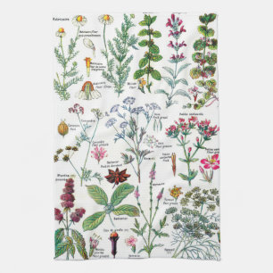 Botaniska illustrationer kökshandduk