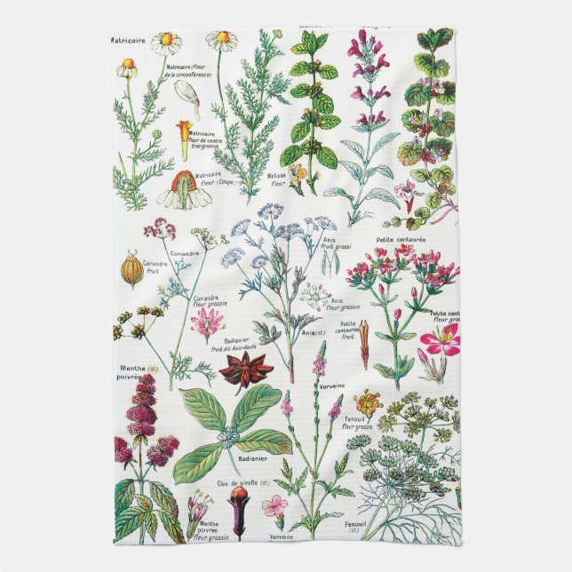 Botaniska illustrationer kökshandduk (Vertikal)