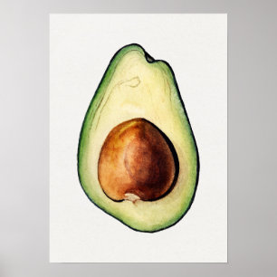 Botaniska illustrationer Poster