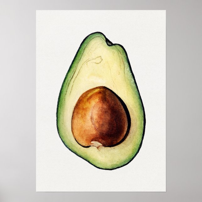 Botaniska illustrationer Poster (Framsidan)