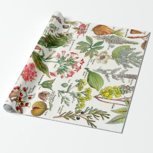 Botaniska illustrationer presentpapper