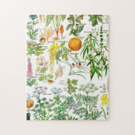 Botaniska illustrationer pussel
