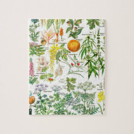 Botaniska illustrationer pussel