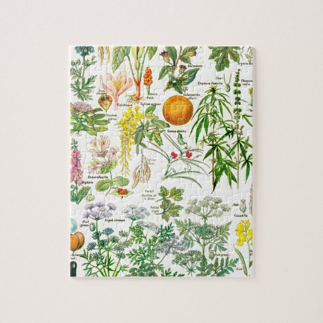 Botaniska illustrationer pussel (Vertikal)