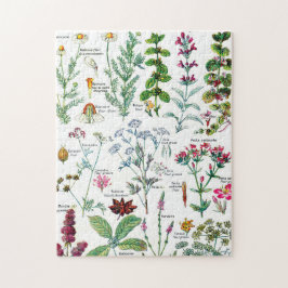 Botaniska illustrationer pussel