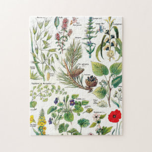 Botaniska illustrationer pussel
