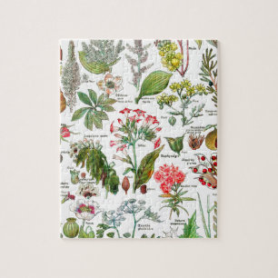 Botaniska illustrationer pussel
