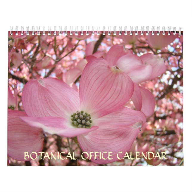 BOTANISKA KANSLI KALENDER Blommor Gåvor Kontor (Omslag)